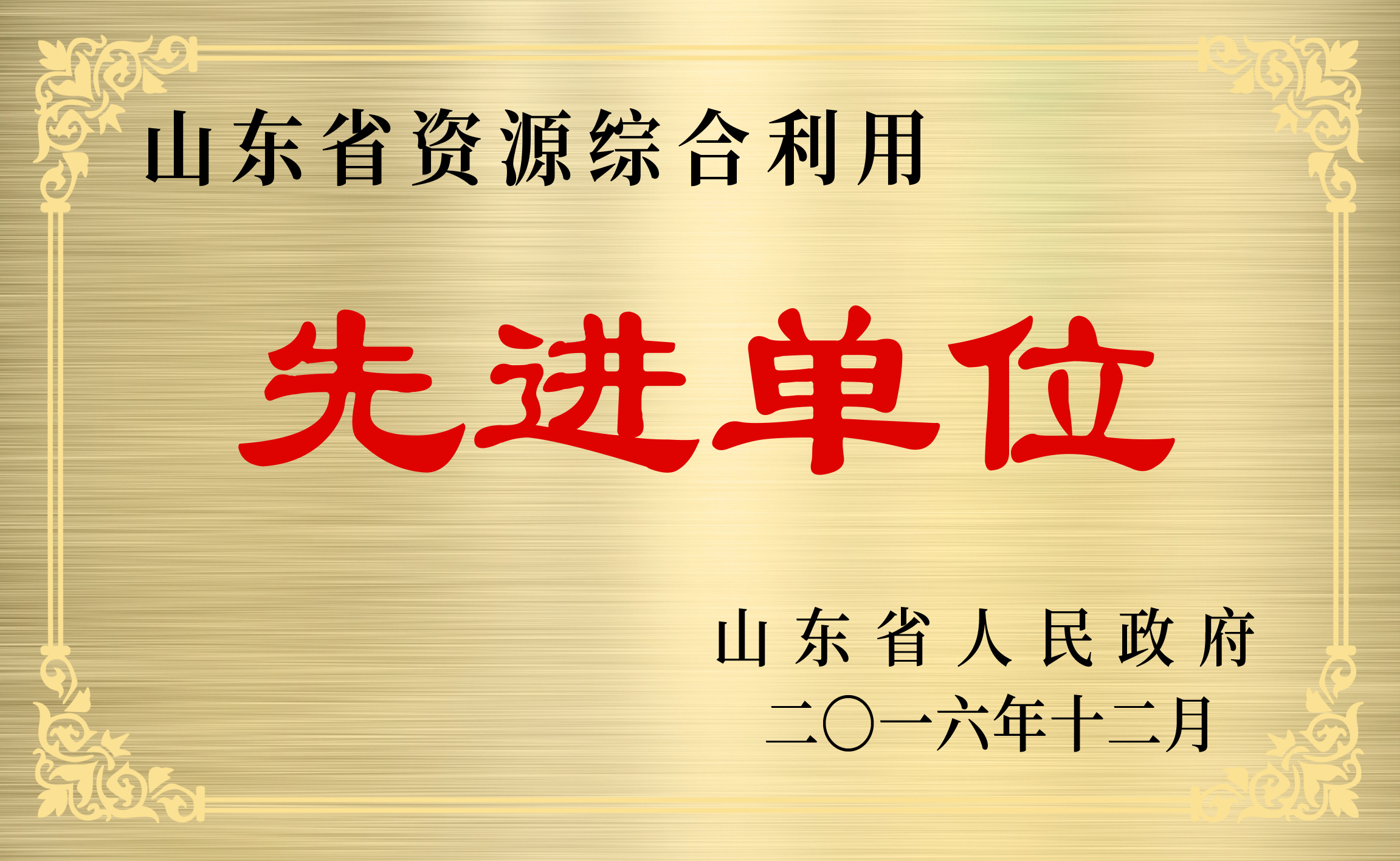 山东省资源综合利用先进单位
